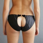 The Accessable Ass The Accessable Ass